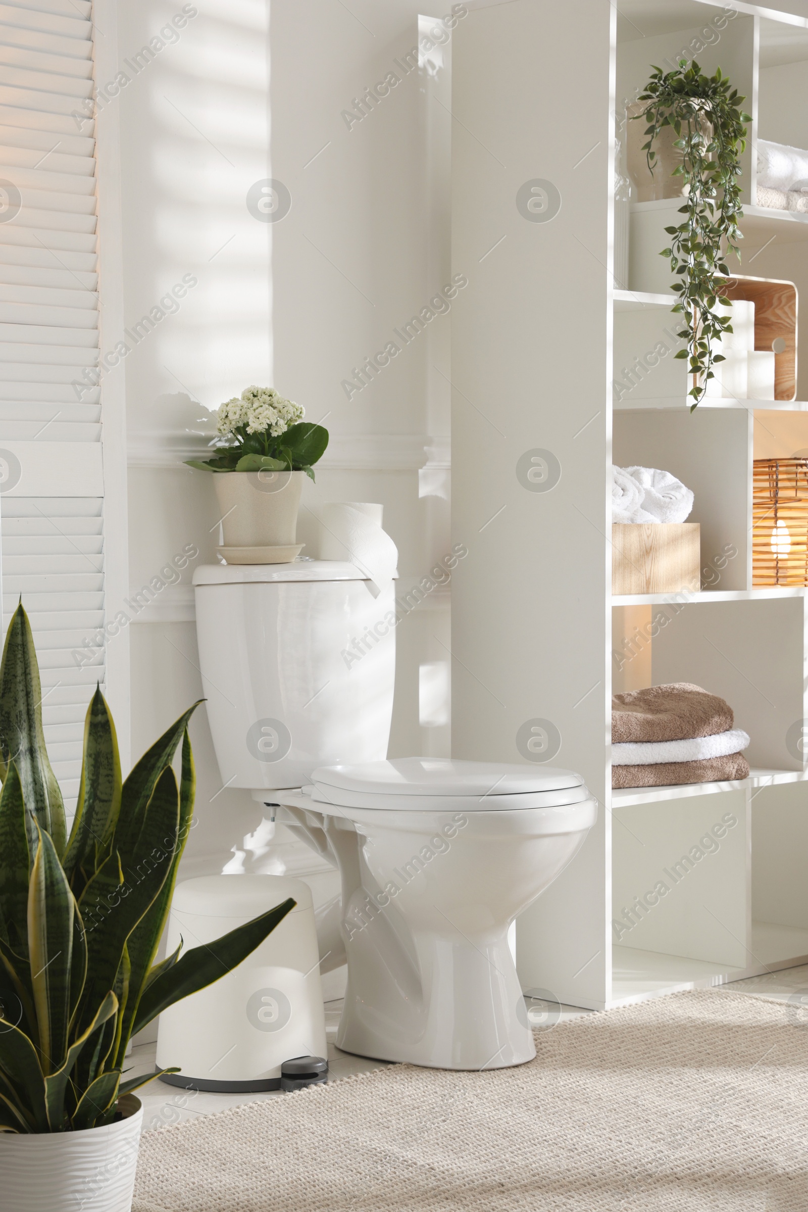 Photo of Toilet bowl, houseplants and towels in restroom