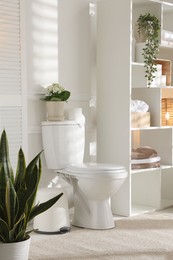 Photo of Toilet bowl, houseplants and towels in restroom