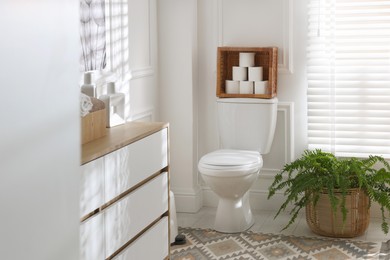 Photo of Toilet bowl, rolls of paper and houseplant in restroom