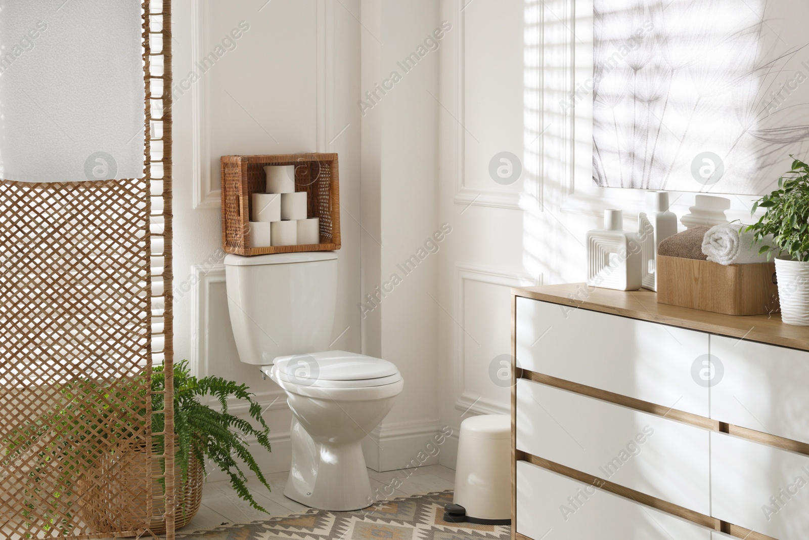 Photo of Folding screen, toilet bowl and houseplants in restroom