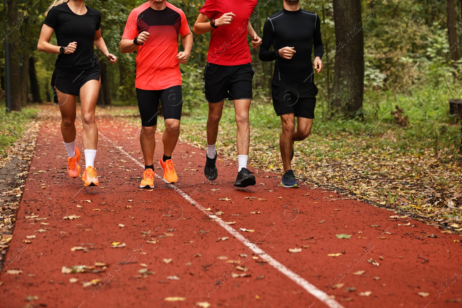 Photo of Group of people jogging together in park, closeup