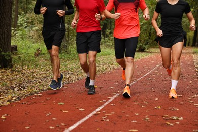 Photo of Group of people jogging together in park, closeup