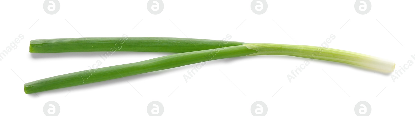 Photo of One fresh green onion isolated on white