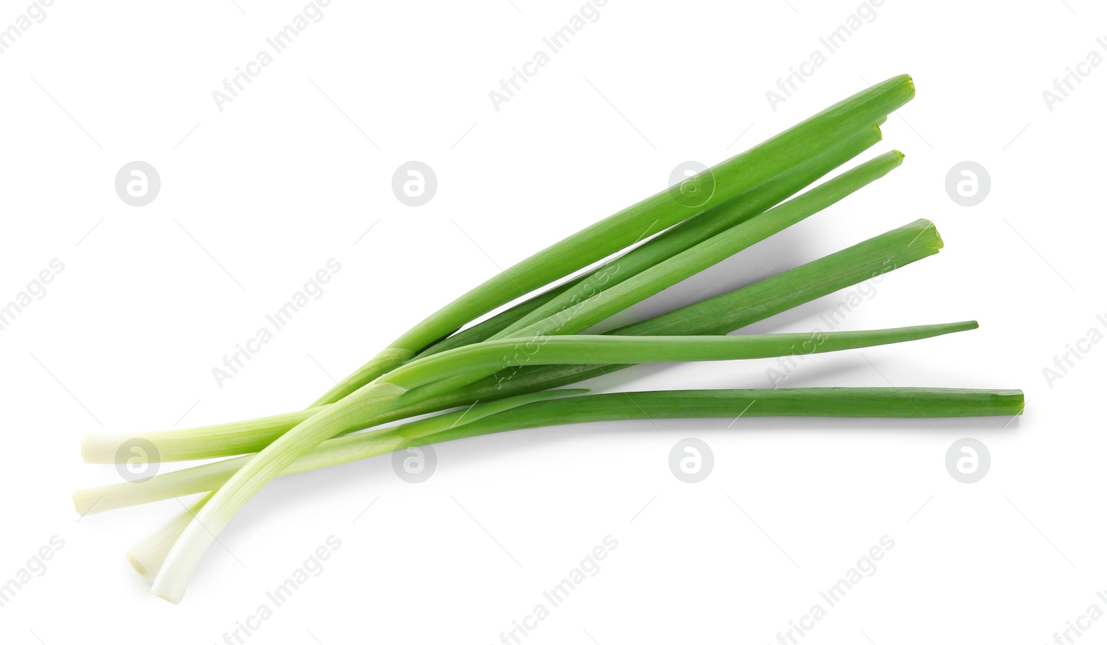 Photo of Cut fresh green onions isolated on white