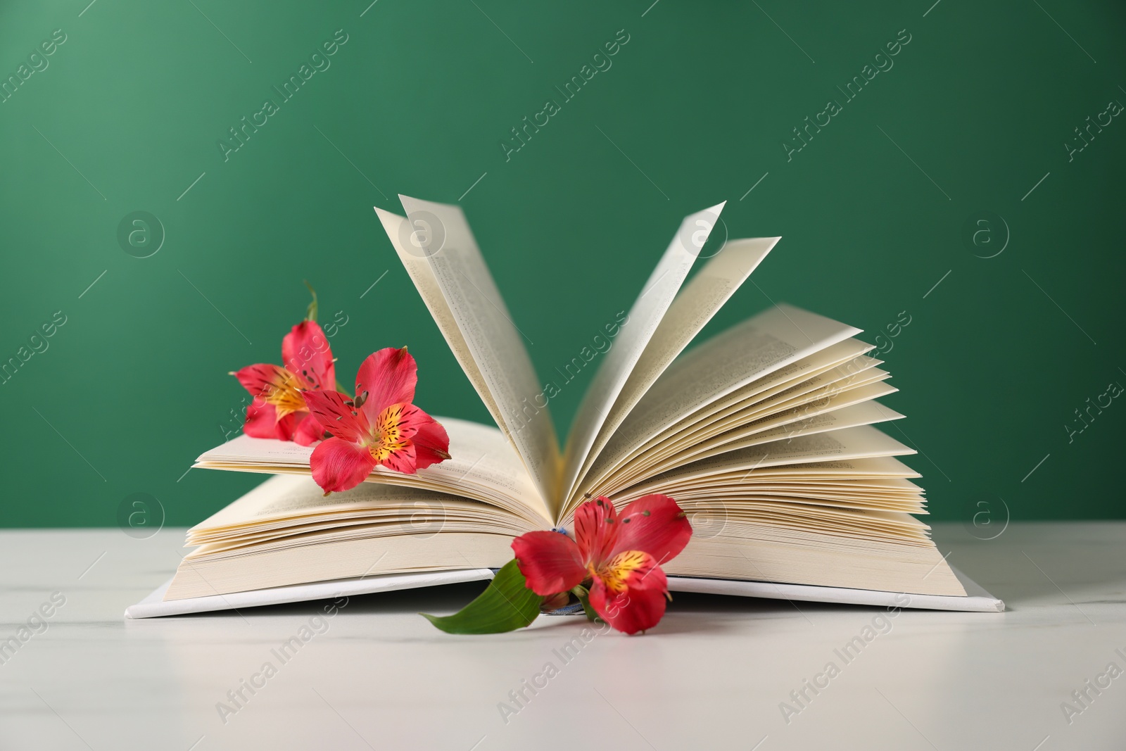 Photo of Book and beautiful alstroemeria flowers on light table against green background