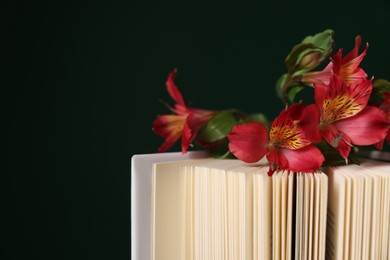 Photo of Book and beautiful alstroemeria flowers on black background, closeup. Space for text