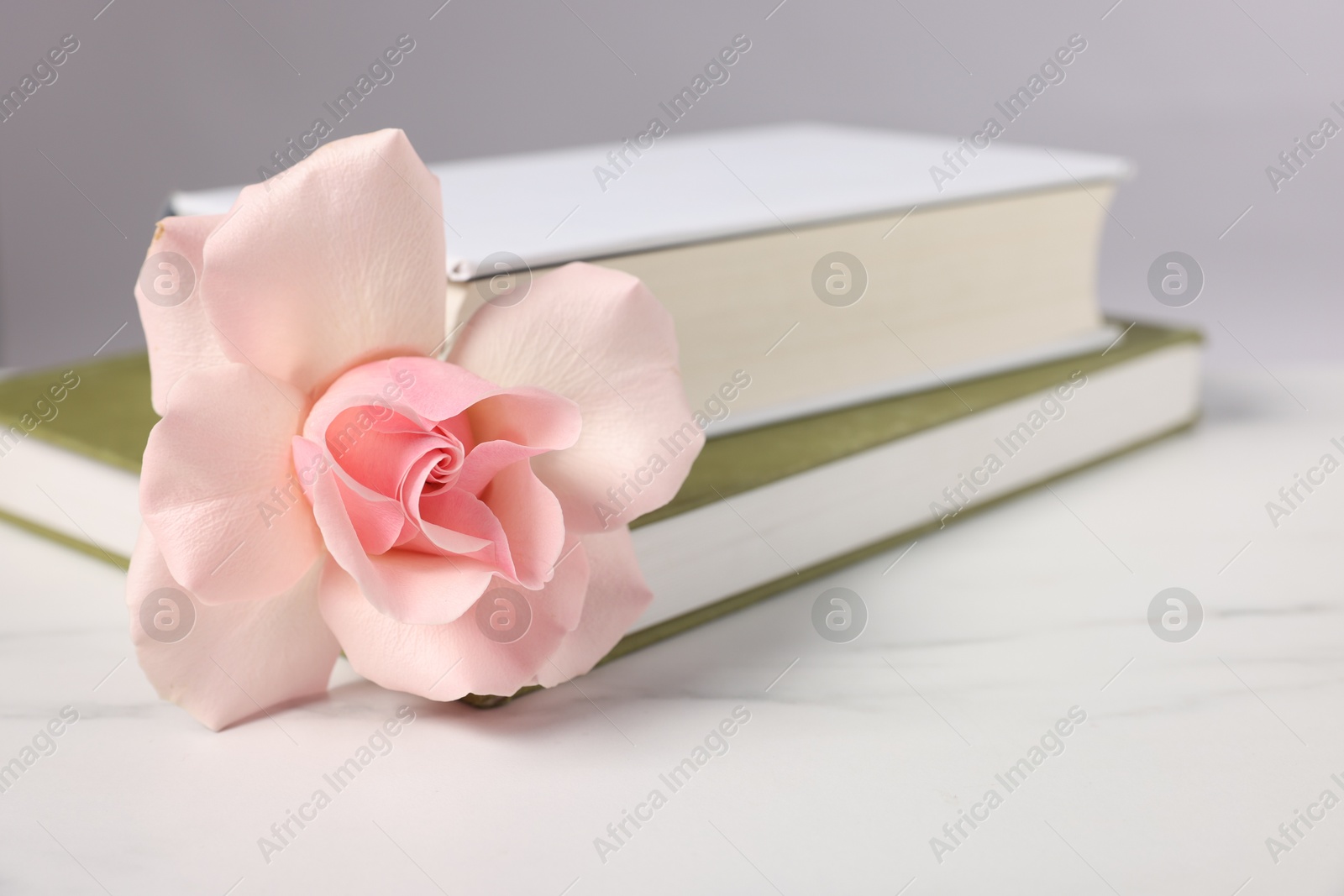 Photo of Books and beautiful rose flower on white marble table, closeup