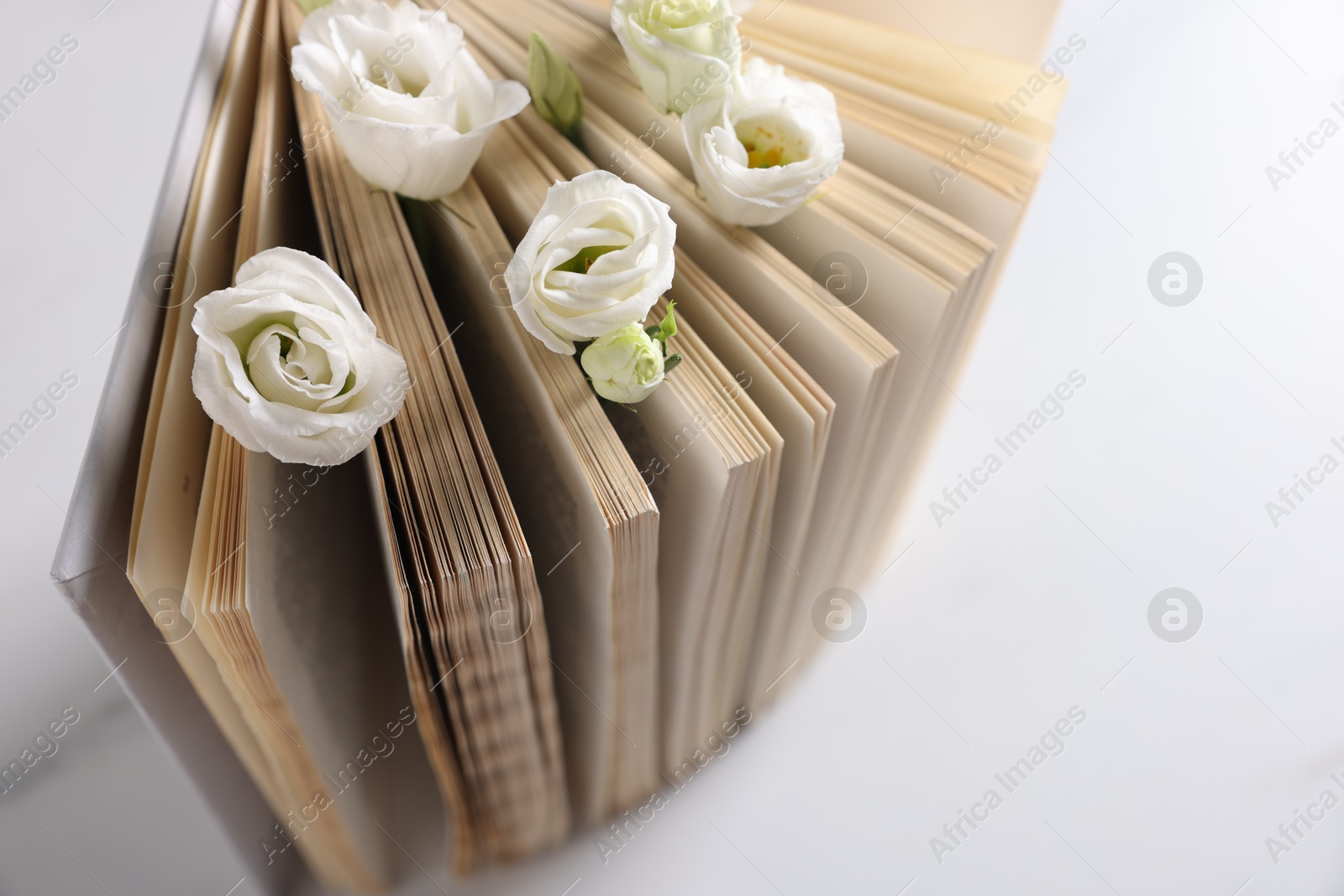 Photo of Book and beautiful eustoma flowers on white table, closeup