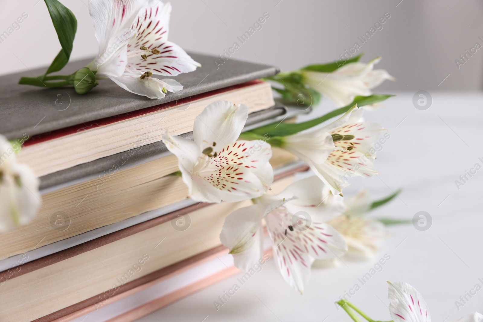 Photo of Books and beautiful alstroemeria flowers on light table, closeup