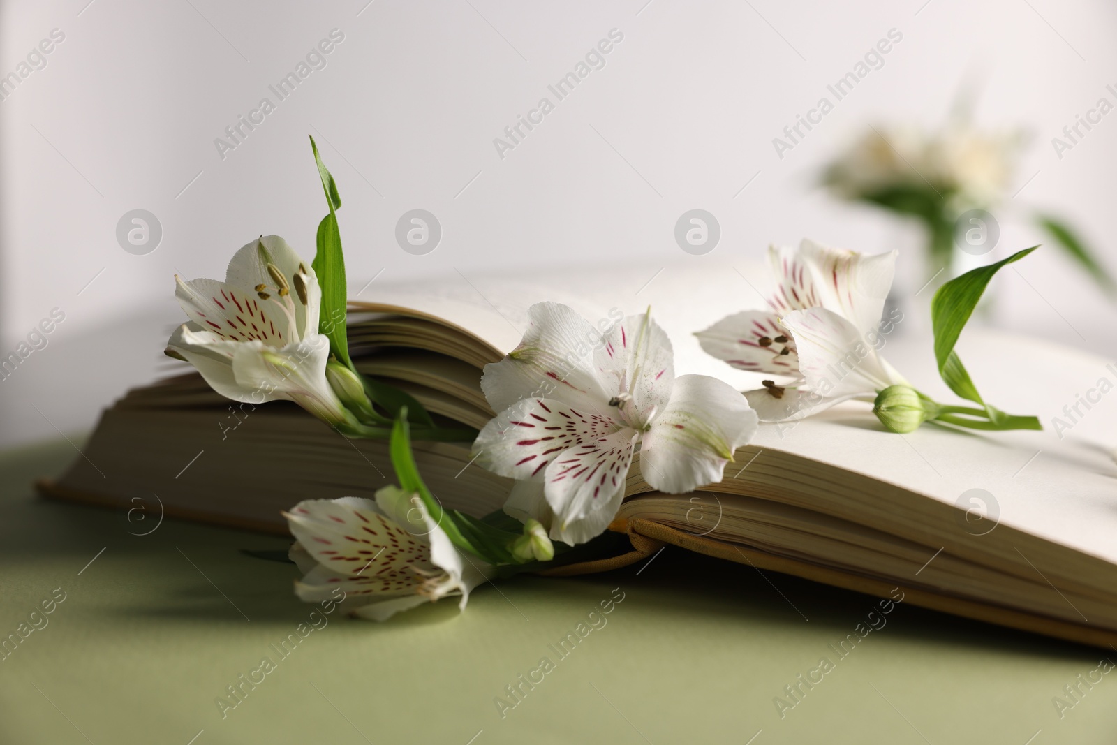 Photo of Book and beautiful alstroemeria flowers on green table against light background, closeup