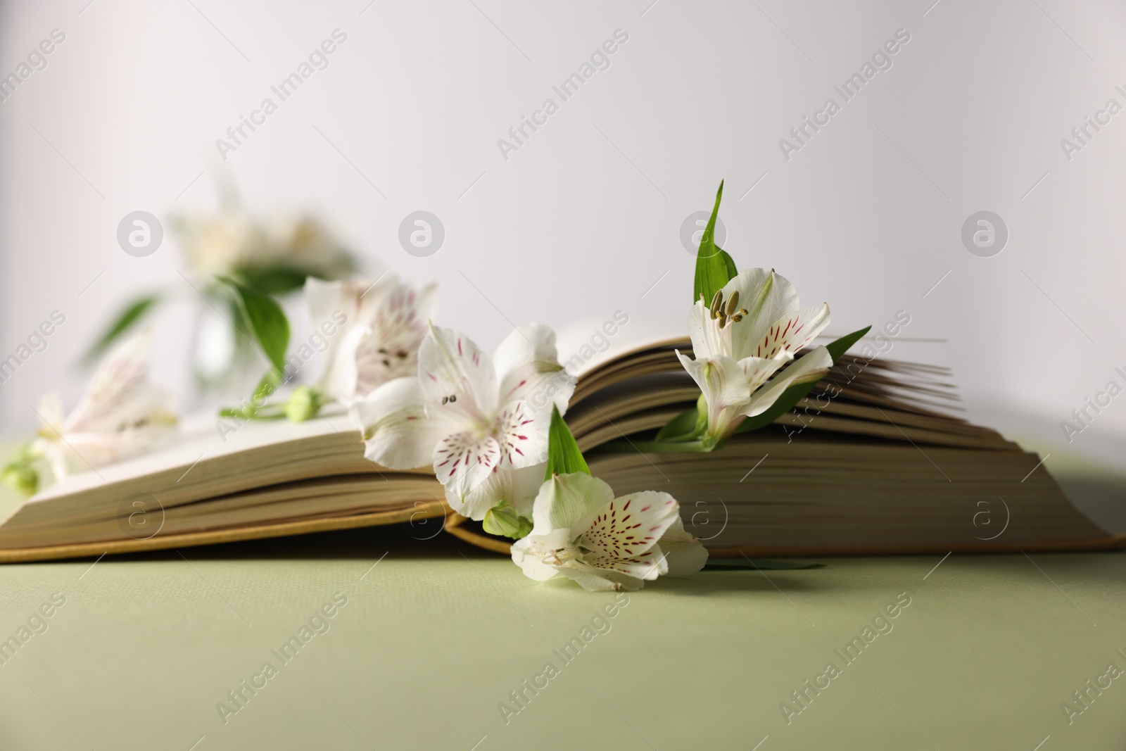 Photo of Book and beautiful alstroemeria flowers on green table against light background, closeup