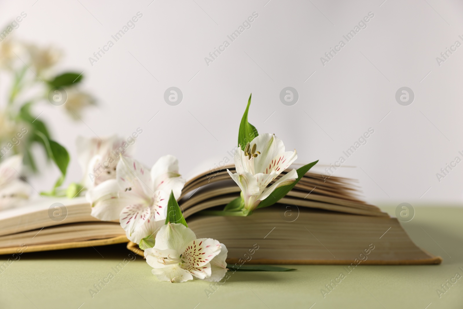 Photo of Book and beautiful alstroemeria flowers on green table against light background, closeup