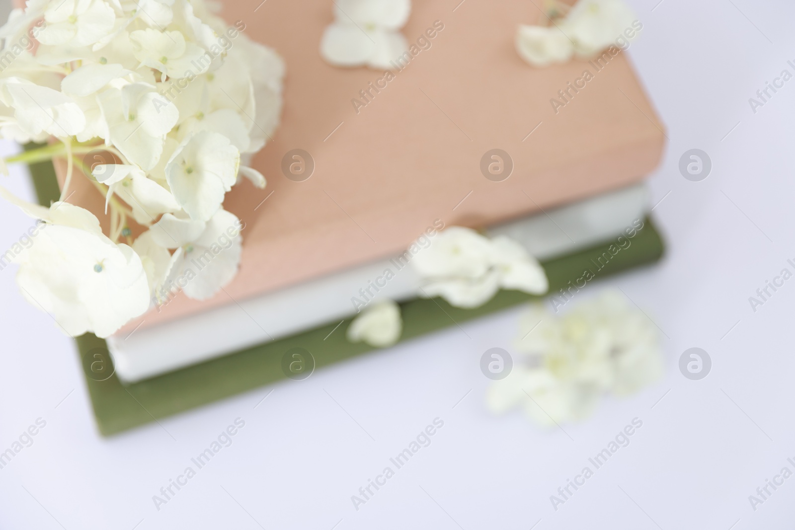 Photo of Beautiful flowers and stack of books on white background, closeup