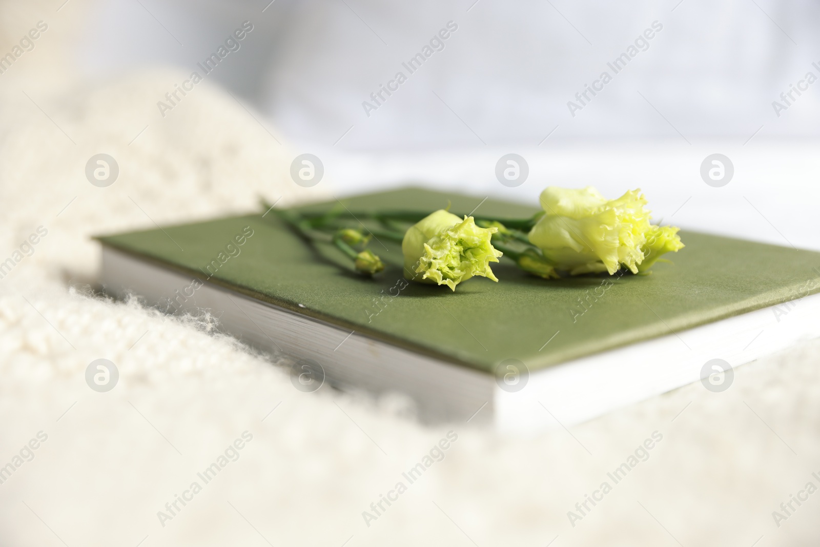 Photo of Book and beautiful flowers on blanket, closeup