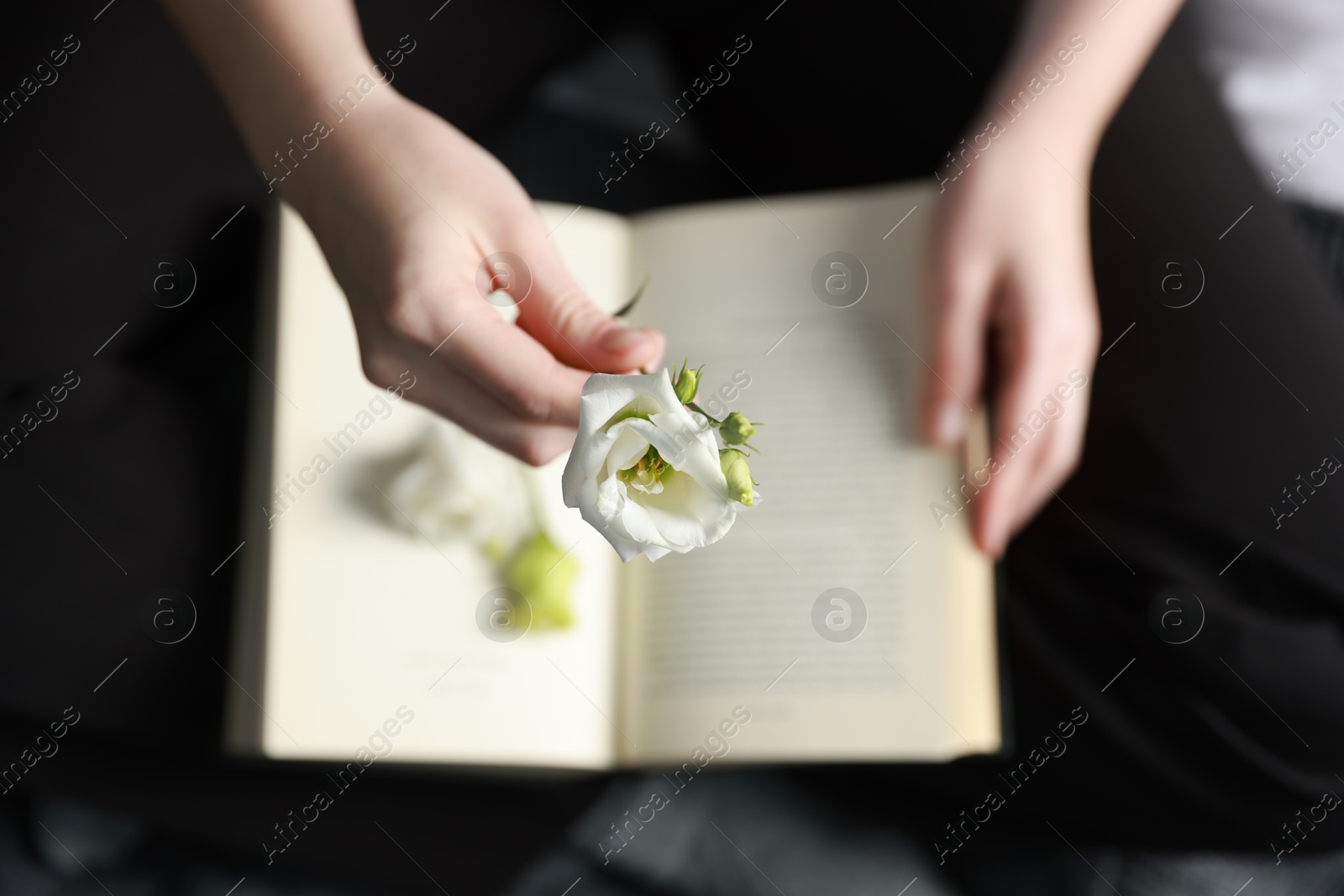 Photo of Woman holding beautiful flower bud above book on blanket, top view