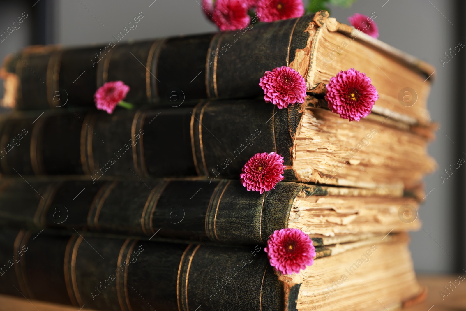 Photo of Stack of books and beautiful flowers on shelf, closeup