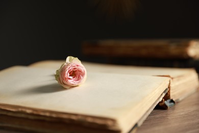 Photo of Open book with beautiful flower on wooden table, closeup