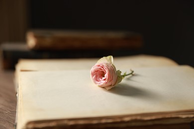 Photo of Open book with beautiful flower on wooden table, closeup