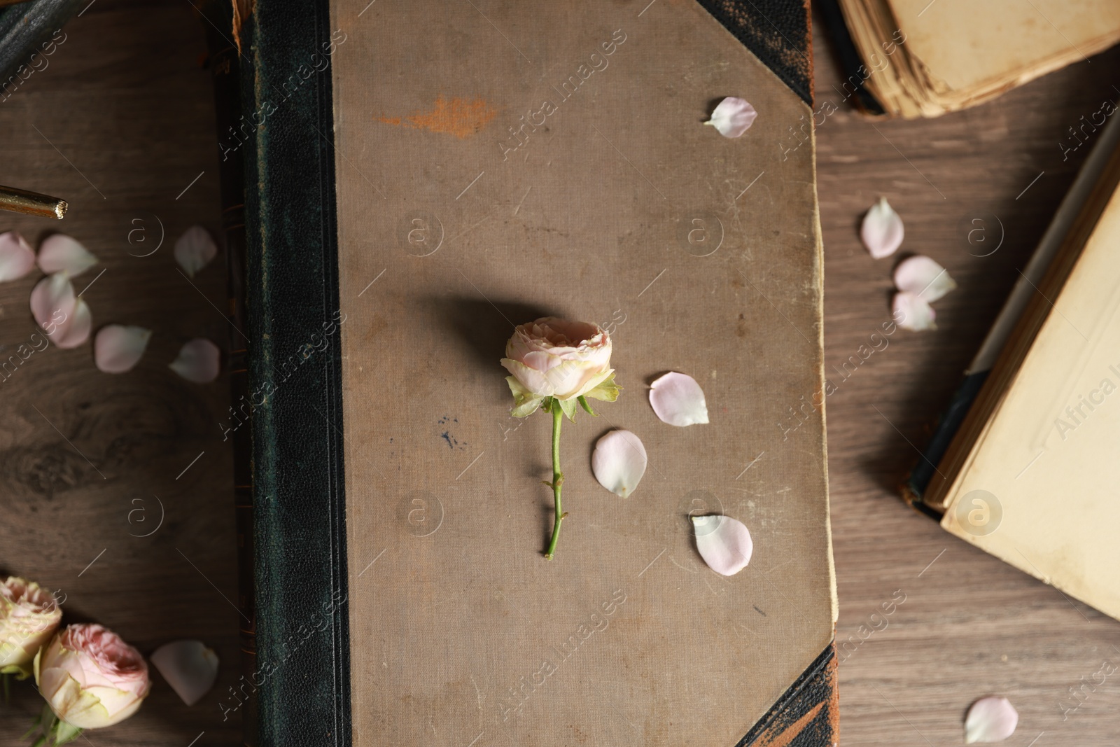 Photo of Books, beautiful flower buds and petals on wooden table, flat lay