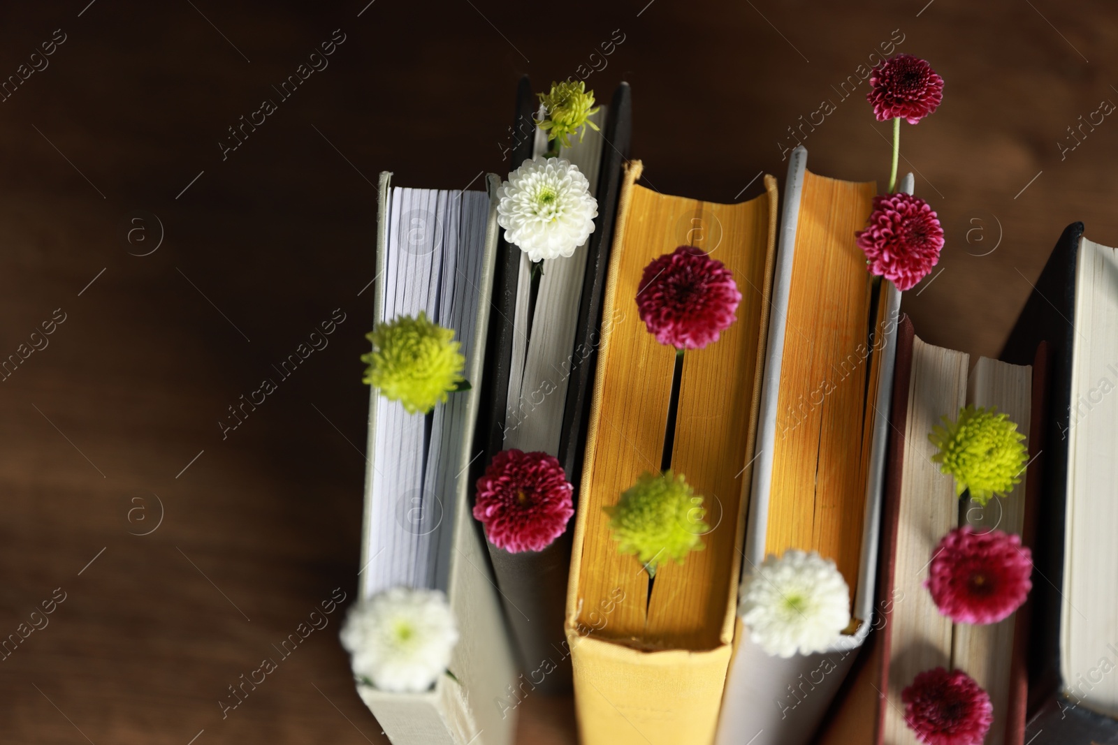 Photo of Different books with beautiful flowers on blurred background, above view. Space for text