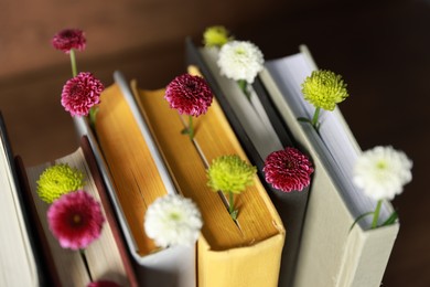 Photo of Different books with beautiful flowers on blurred background, closeup