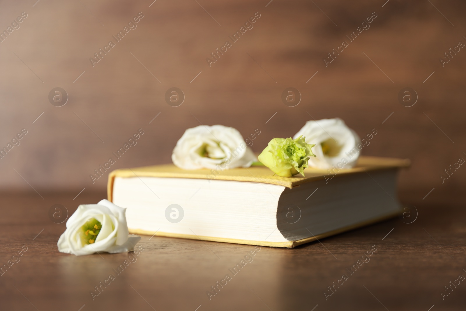 Photo of Beautiful flower buds and book on wooden table, closeup