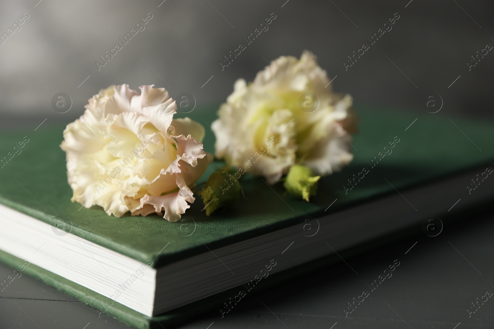 Photo of Book and beautiful flowers on grey wooden table, closeup