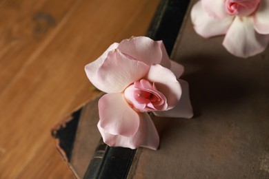 Books and beautiful flowers on wooden table, closeup. Space for text