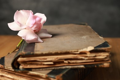 Photo of Books and beautiful flower on table, closeup