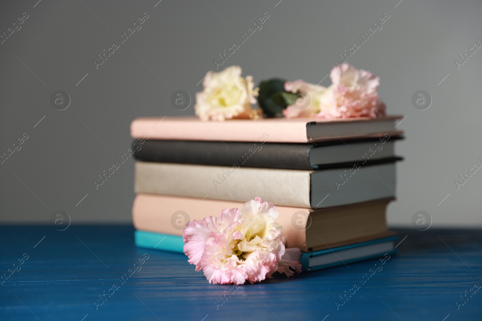 Photo of Stack of books and beautiful flowers on blue wooden table against grey background, closeup