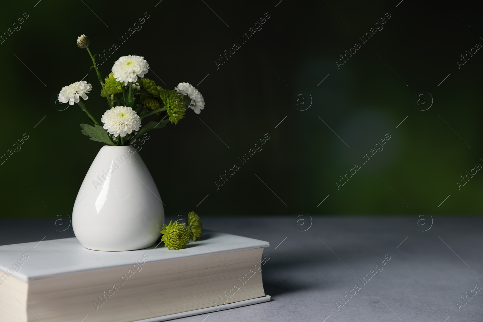 Photo of Book and vase with beautiful flowers on grey textured table against blurred background, closeup. Space for text