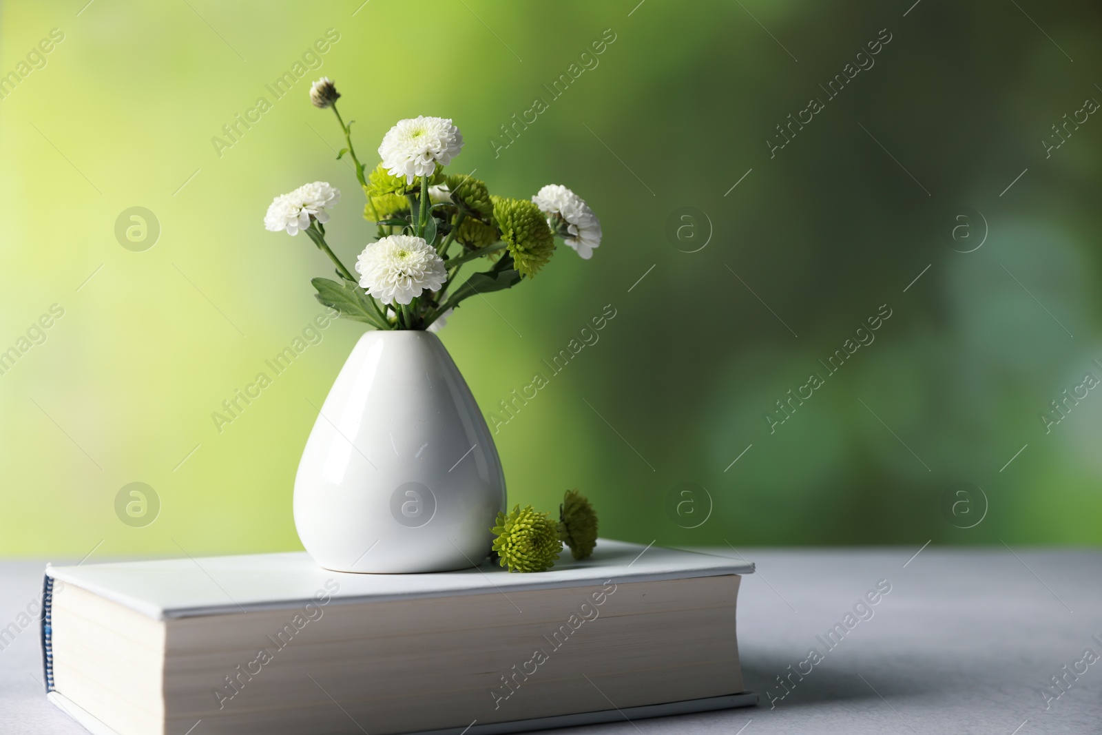 Photo of Book and vase with beautiful flowers on grey textured table against blurred green background, closeup