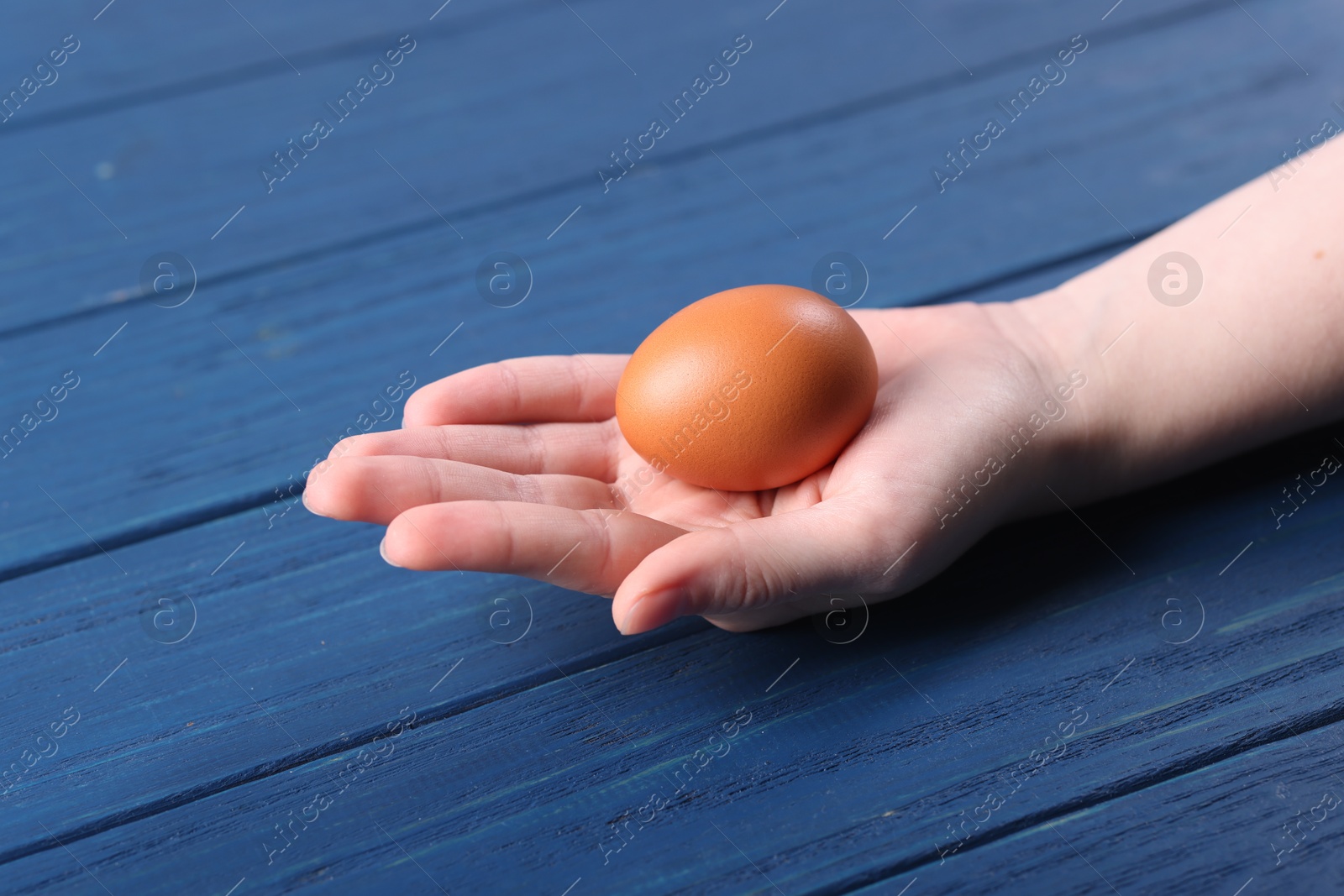 Photo of Woman holding raw egg on blue wooden table, closeup