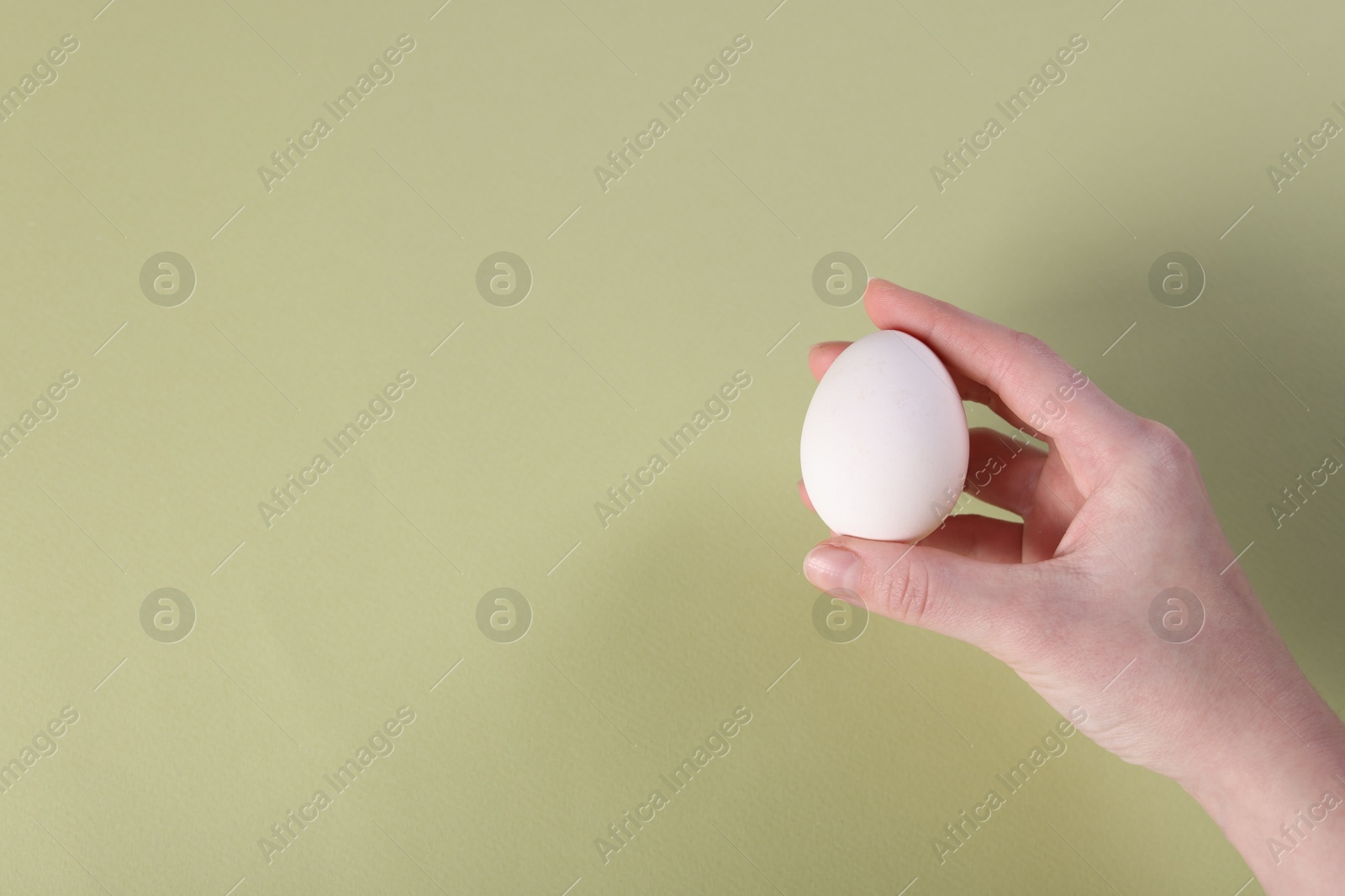 Photo of Woman holding raw egg on olive background, closeup. Space for text