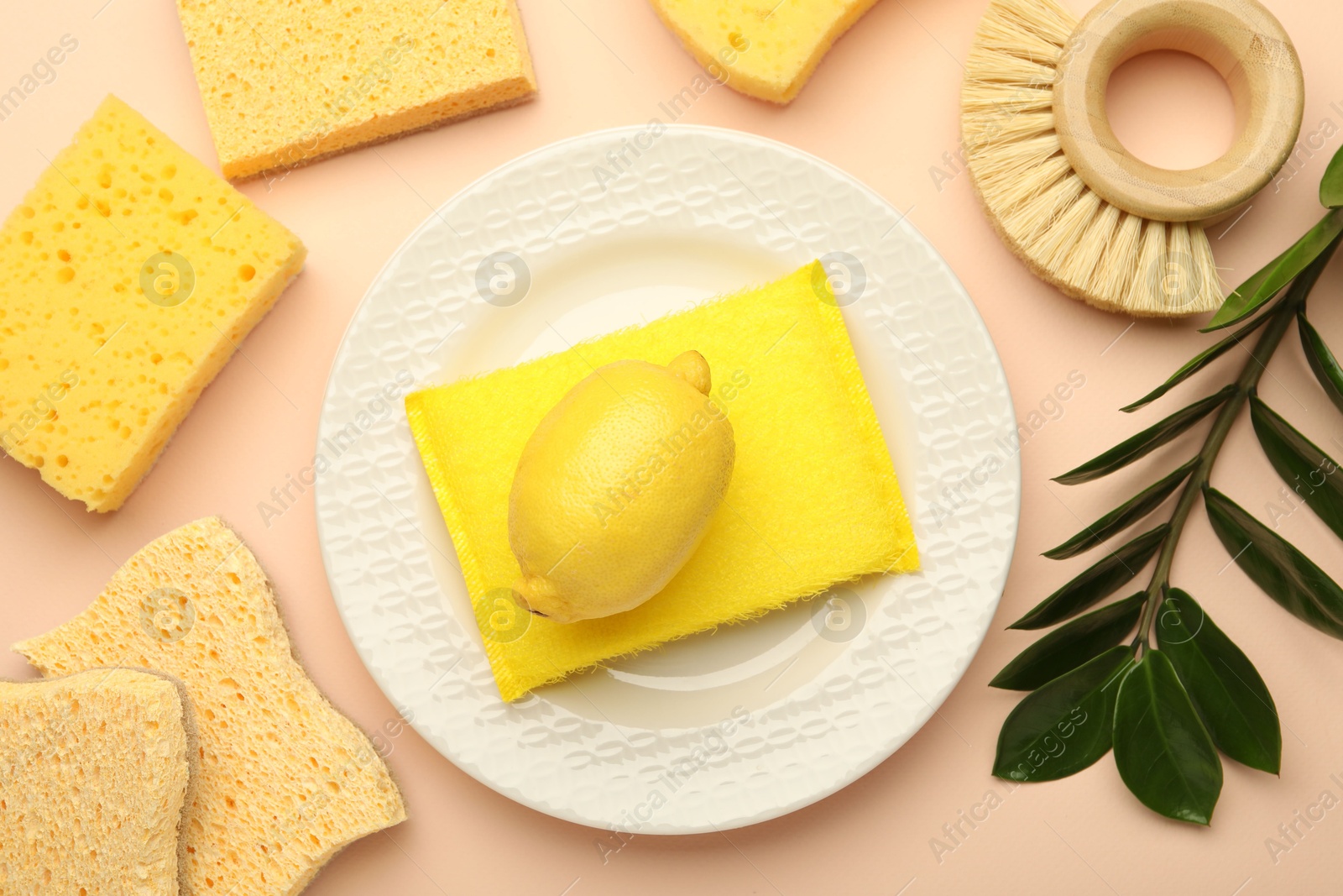 Photo of Flat lay composition with sponges and plate on beige background