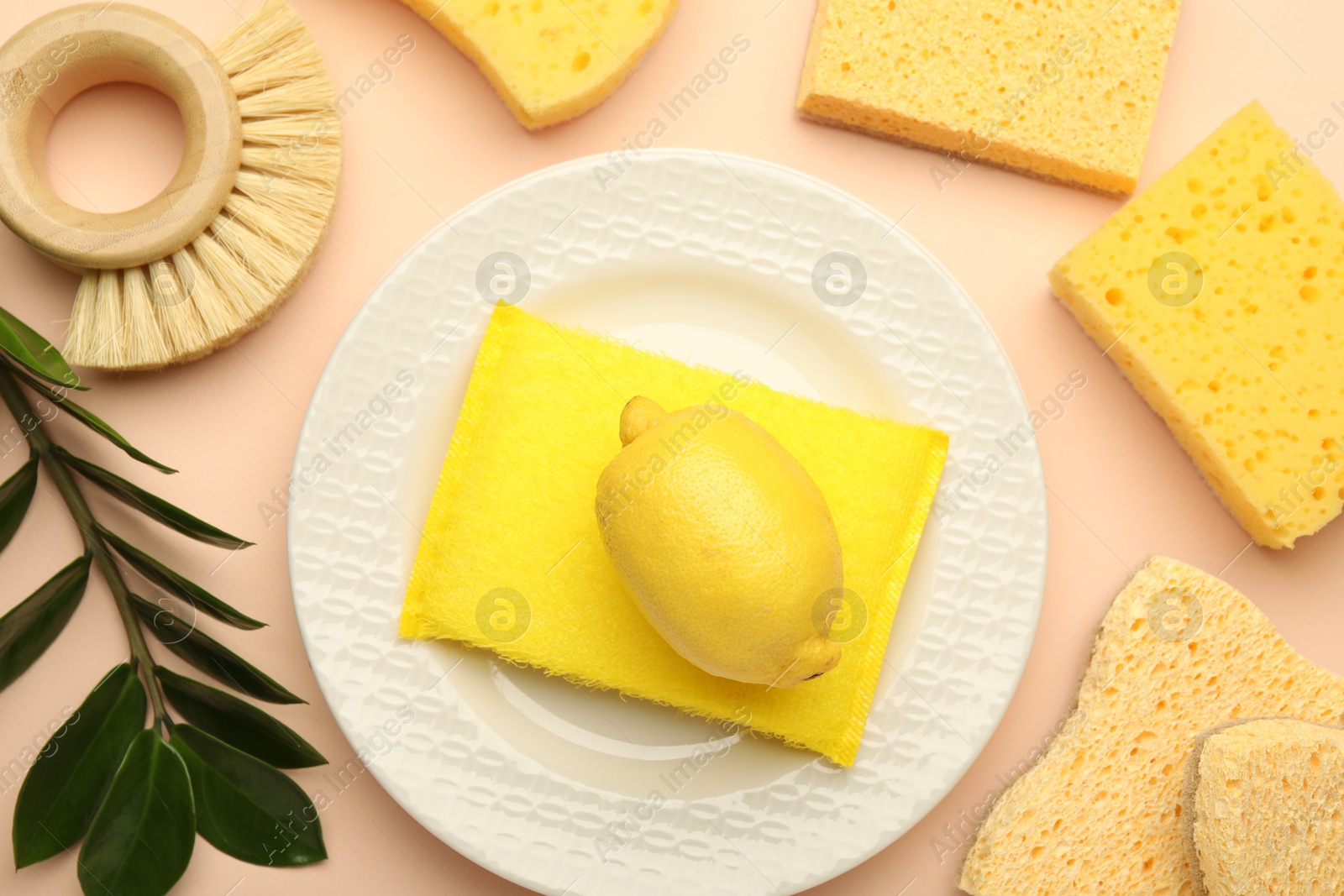 Photo of Flat lay composition with sponges and plate on beige background