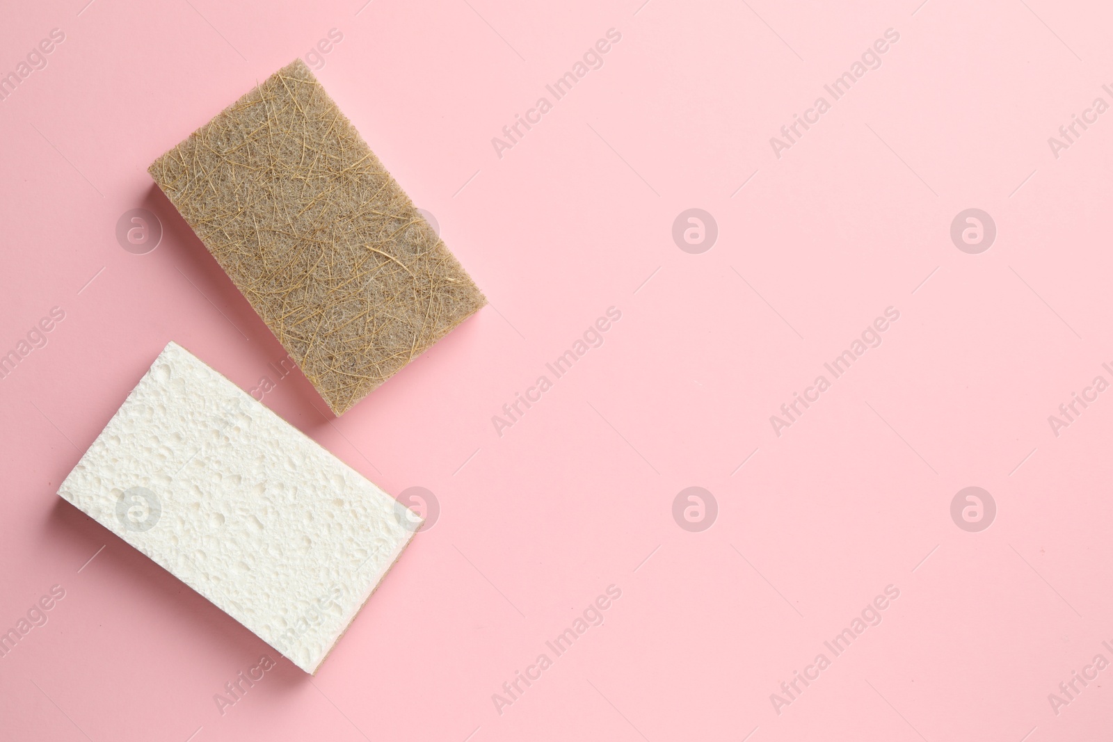 Photo of Sponges on pink background, top view. Space for text