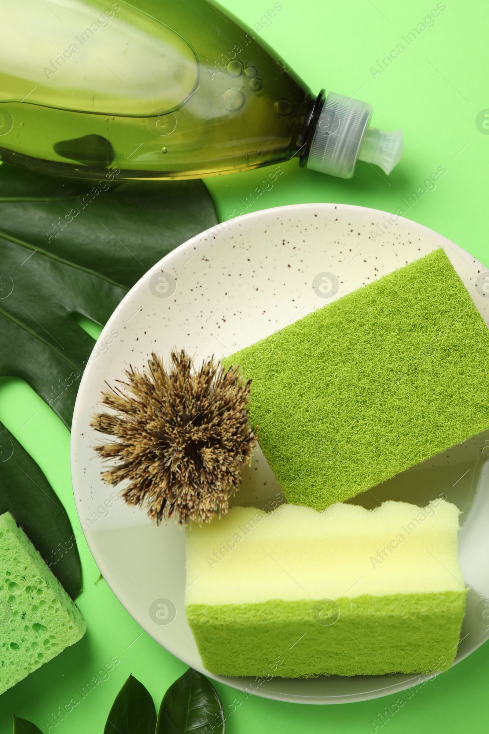 Photo of Flat lay composition with sponges, brush and detergent on green background