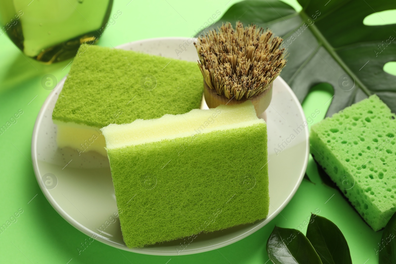 Photo of Sponges, brush and plate on green background, closeup