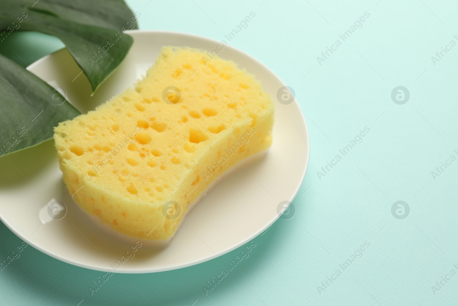 Photo of One sponge and plate on light blue background, closeup. Space for text