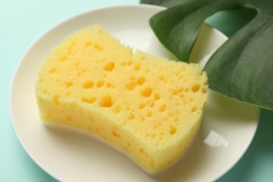 Photo of One sponge and plate on light blue background, closeup