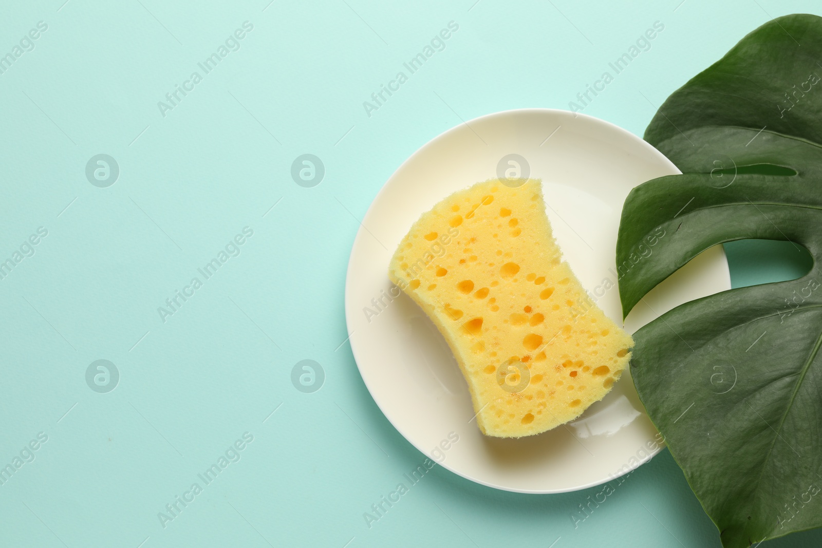 Photo of One sponge, plate and monstera leaf on light blue background, top view. Space for text