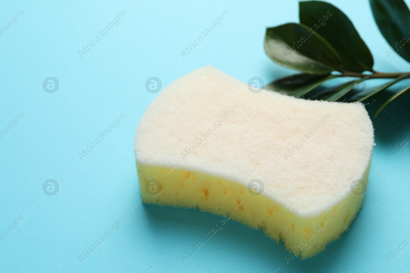 Photo of One sponge and branch with leaves on light blue background, closeup. Space for text