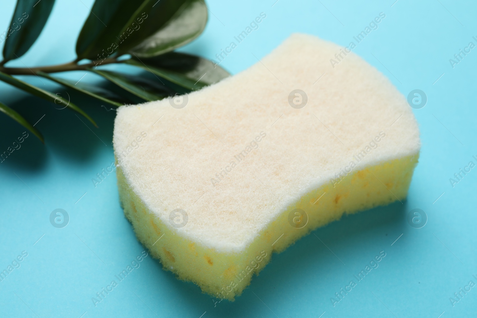 Photo of One sponge and branch with leaves on light blue background, closeup