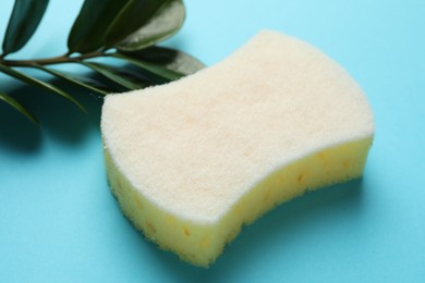 One sponge and branch with leaves on light blue background, closeup