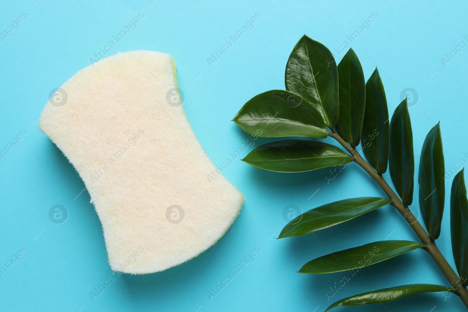 Photo of One sponge and branch with leaves on light blue background, top view