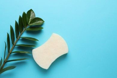 Photo of One sponge and branch with leaves on light blue background, top view. Space for text