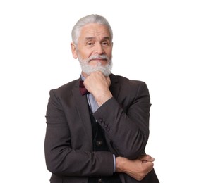 Portrait of elegant bearded gentleman on white background