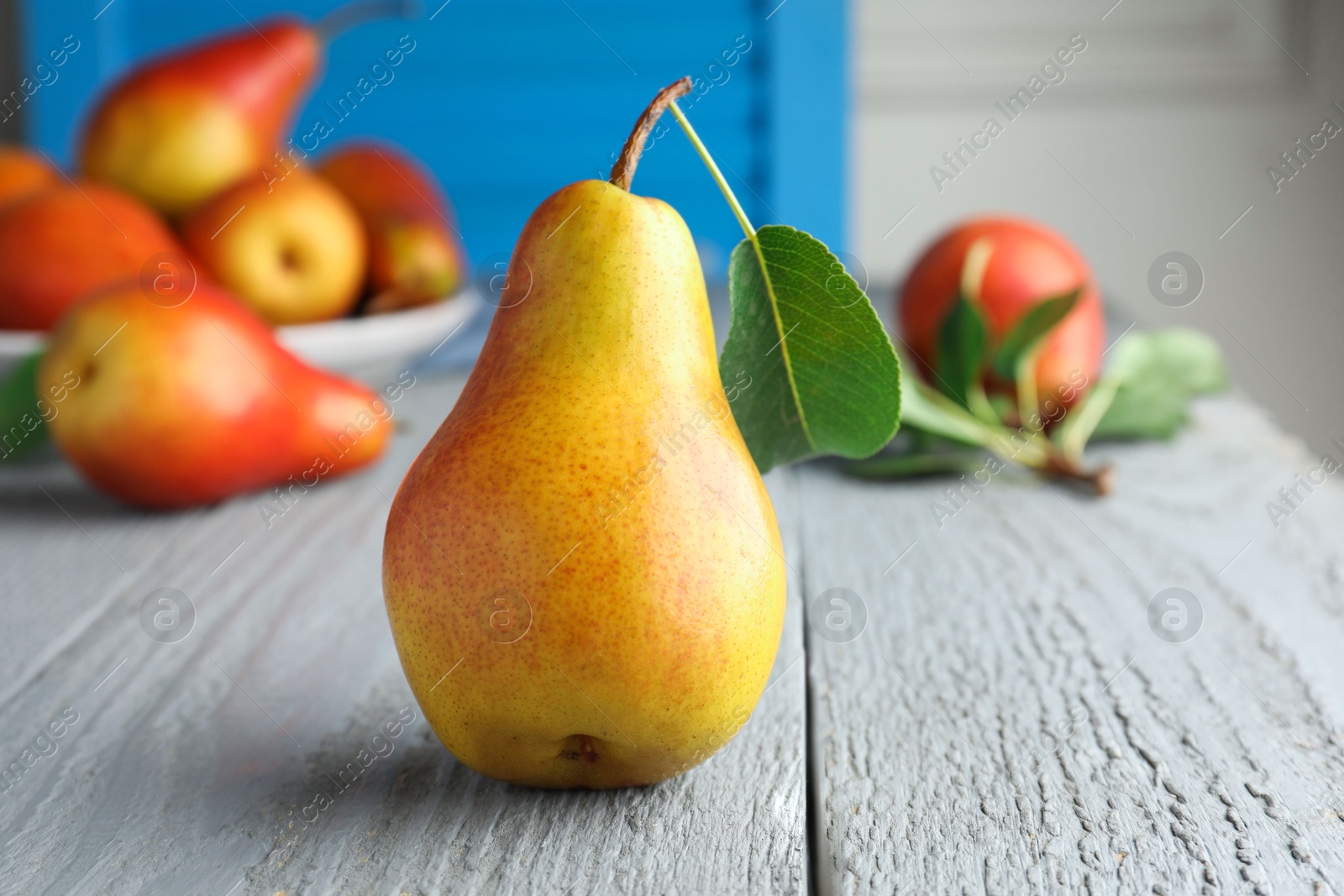 Photo of Ripe juicy pears on grey wooden table, selective focus