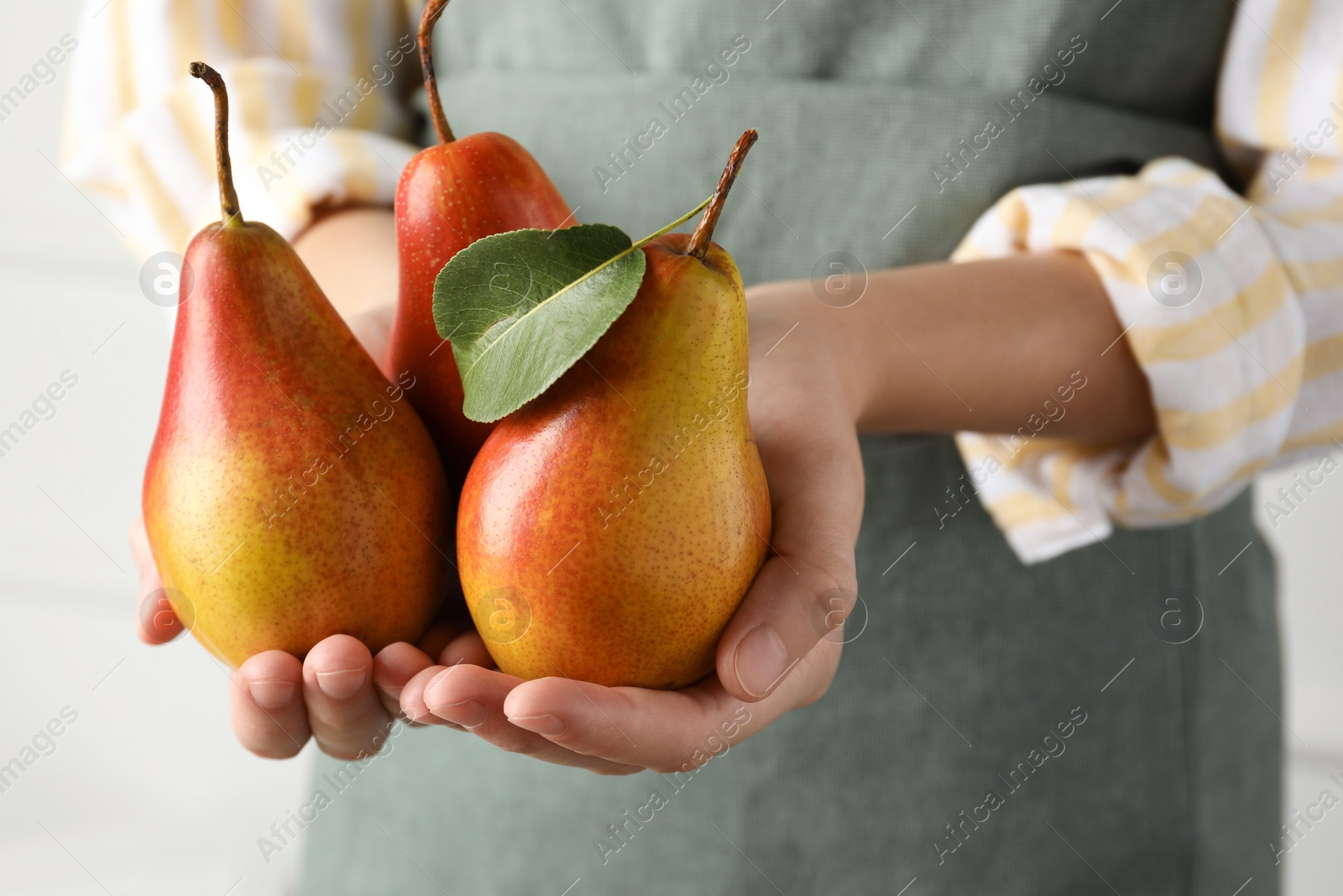 Photo of Woman holding ripe juicy pears indoors, closeup